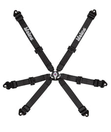 Becketts 6pt FIA Harness - 2