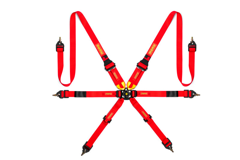 Momo Corsa 6-Point HANS Harness