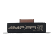 Load image into Gallery viewer, AMP QuadEGT CAN Module