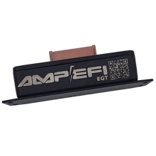 Load image into Gallery viewer, AMP QuadEGT CAN Module