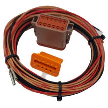 Load image into Gallery viewer, AMP QuadEGT Module &amp; Probe Kit