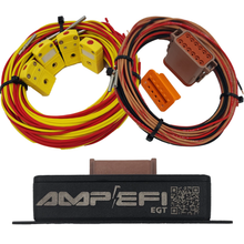 Load image into Gallery viewer, AMP QuadEGT CAN Module