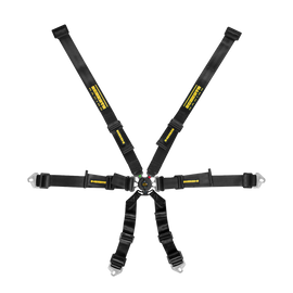 Schroth Flexi 2x2