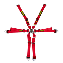 Load image into Gallery viewer, Schroth Flexi 2x2