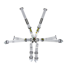 Load image into Gallery viewer, Schroth Flexi 2x2