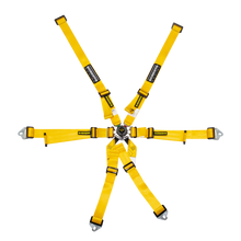 Load image into Gallery viewer, Schroth Flexi 2x2