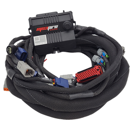 Honda K-Series PNP Harness & MS3Pro Mini Package