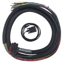 Load image into Gallery viewer, MicroSquirt Wiring Harness – Universal Flying Lead