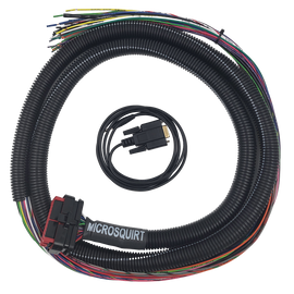 MicroSquirt Wiring Harness – Universal Flying Lead