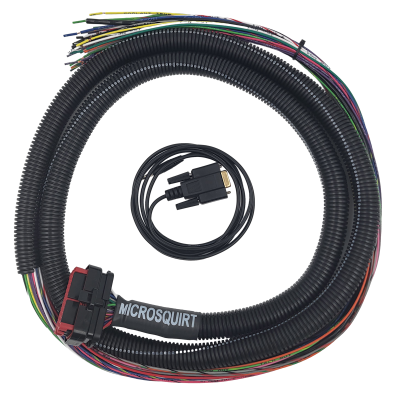 AMP’d MicroSquirt ECU