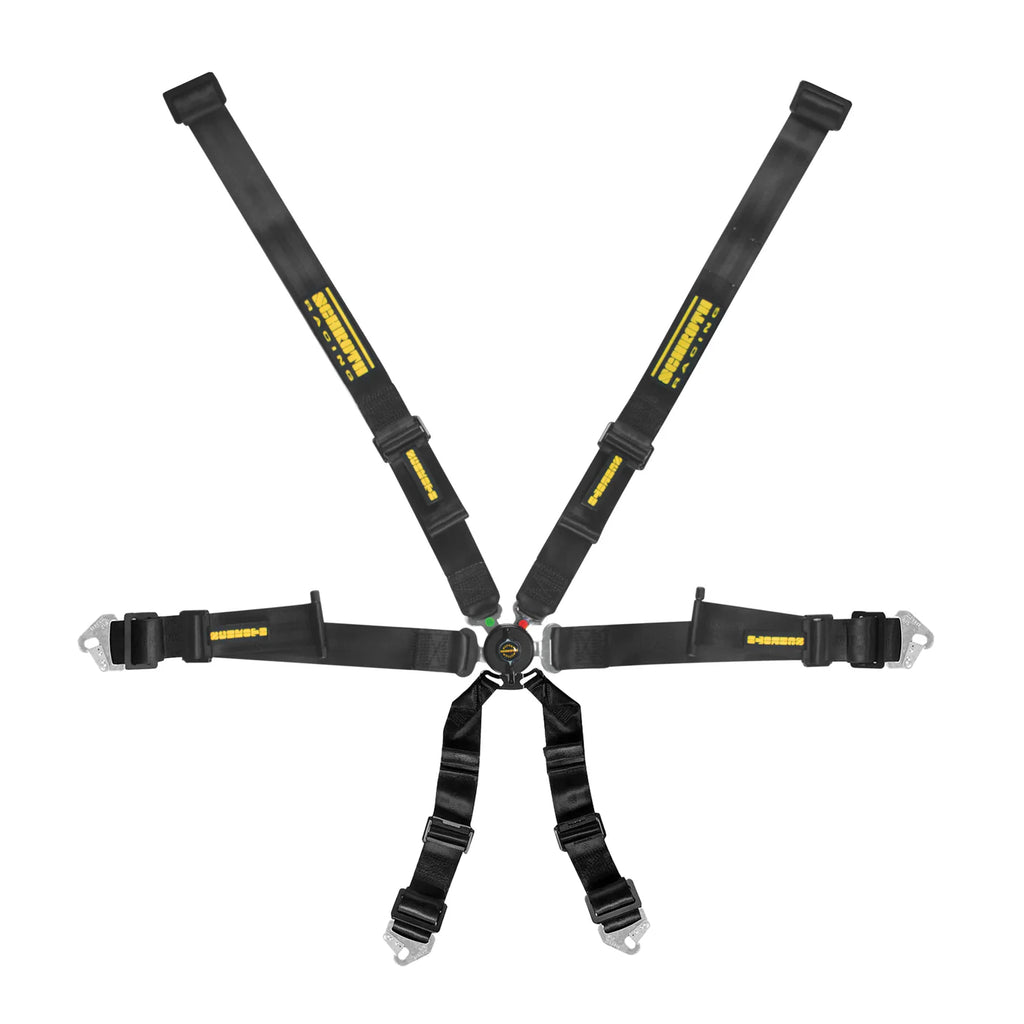Schroth Profi 2x2