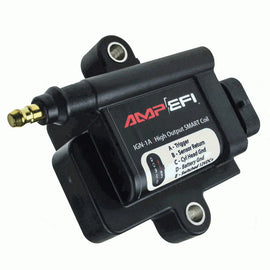 IGN1A Smart Ignition Coil
