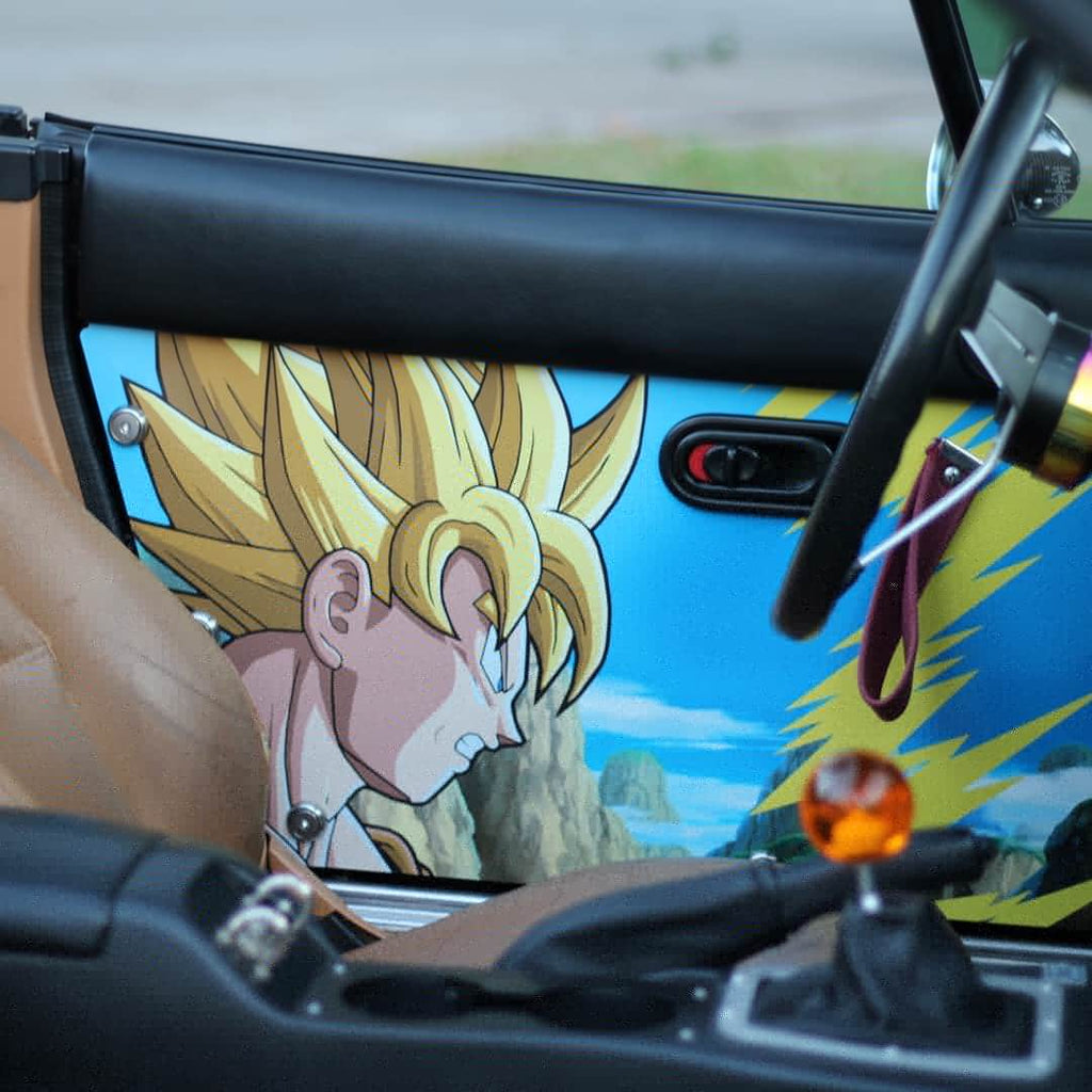 Dragonball door panels