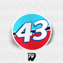 Load image into Gallery viewer, Richard Petty Vinyl Racing Numbers